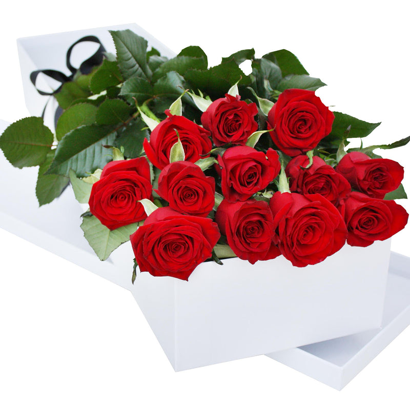 Red Roses in Box